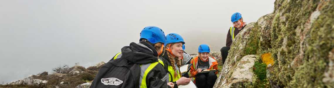 Group of students researching