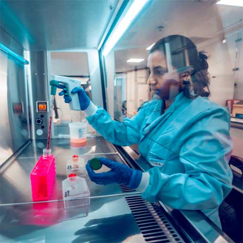 Manchester PhD student, Chithra, carrying out a lab experiment.